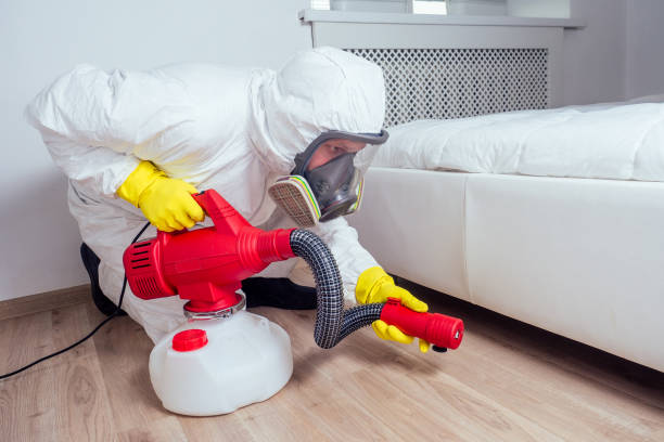 Emergency Pest Control Services in Reminderville, OH